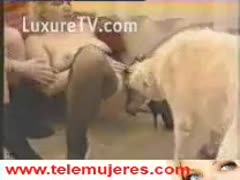 Lovely girlfriend helps her blonde slutty buddy get pussy fucked by a dog in this beast video 